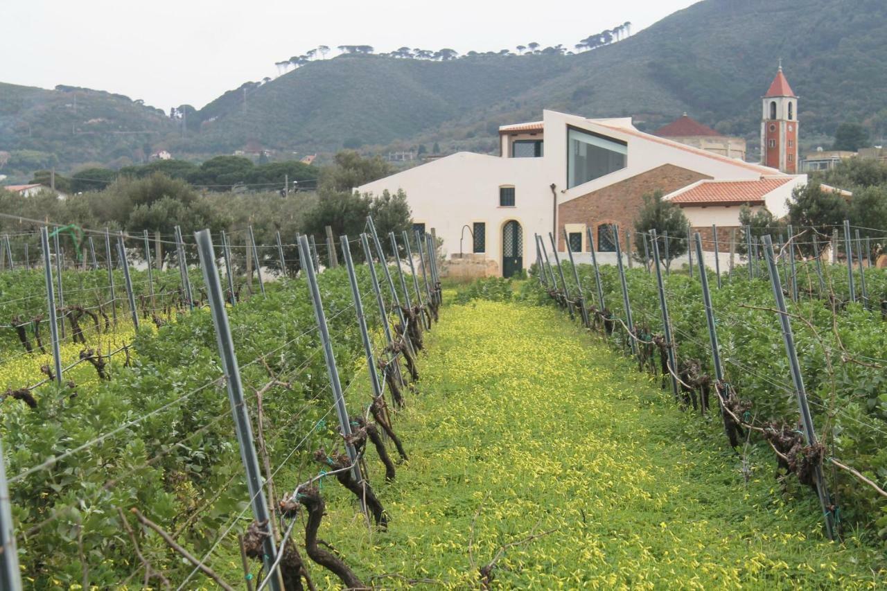 Tenuta Rasocolmo مسينا المظهر الخارجي الصورة