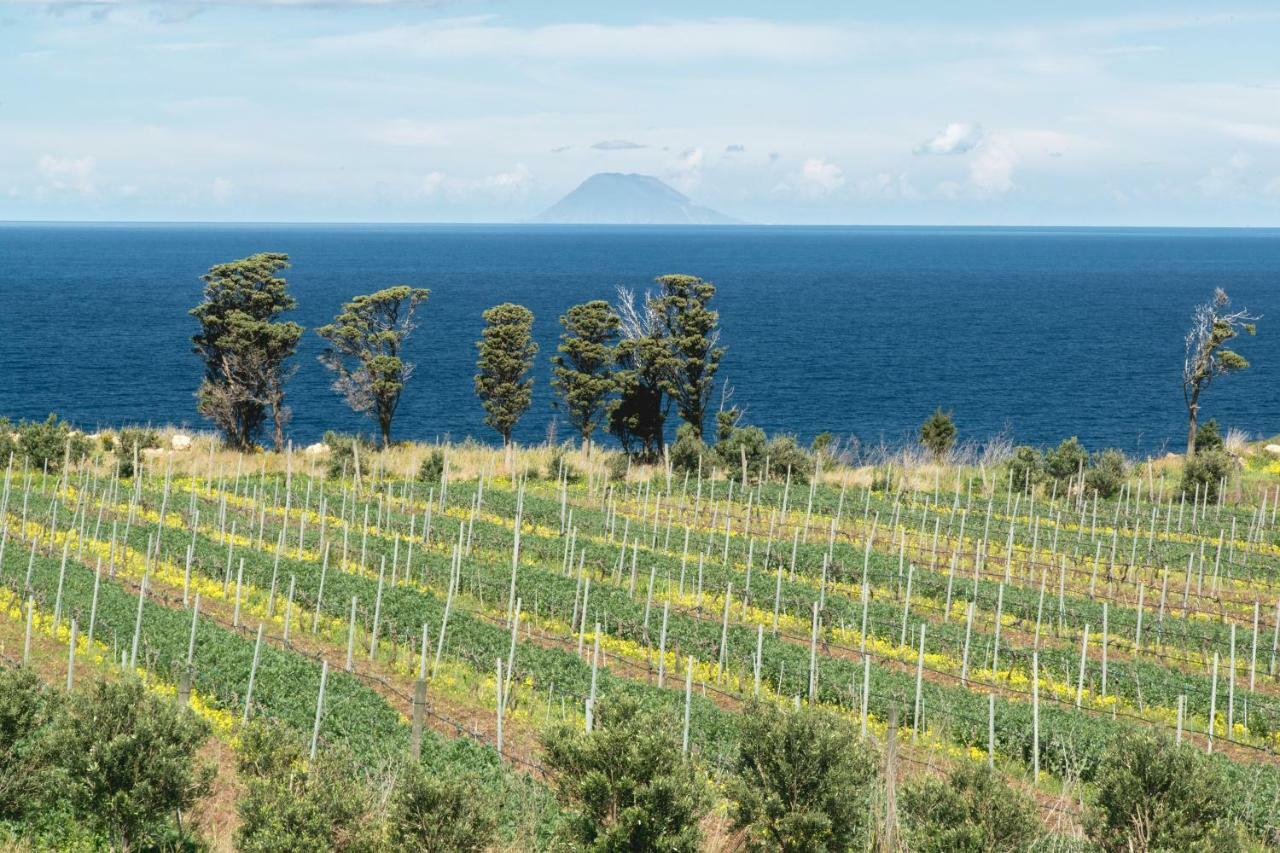 Tenuta Rasocolmo مسينا المظهر الخارجي الصورة
